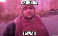 свинина ебучая