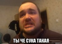  ты че сука такая