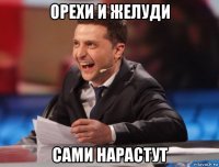 орехи и желуди сами нарастут