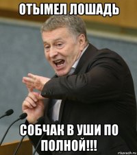 отымел лошадь собчак в уши по полной!!!