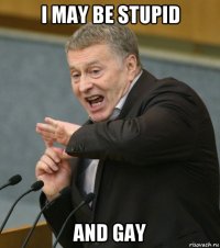 i may be stupid and gay