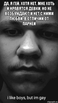 да, я гей. хотя нет, мне хоть и нравятся девки, но не возбуждают и нет с ними любви, в отличии от парней 