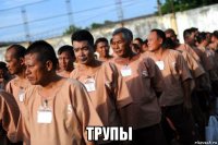 трупы