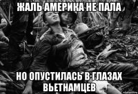жаль америка не пала но опустилась в глазах вьетнамцев