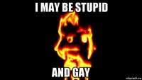 i may be stupid and gay
