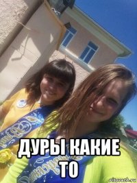  дуры какие то