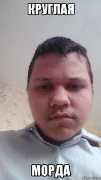 круглая морда