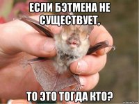 если бэтмена не существует, то это тогда кто?