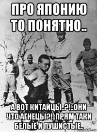 про японию то понятно.. а вот китайцы..?!..они что агнецы?!..прям таки белые и пушистые..