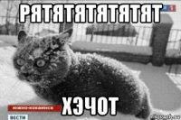 рятятятятятят xэчот
