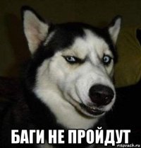  баги не пройдут