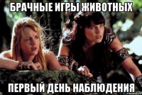 брачные игры животных первый день наблюдения