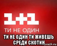  ти не один ти живешь среди скотин