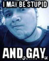 i may be stupid and gay