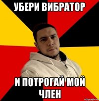 убери вибратор и потрогай мой член