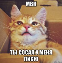 мвк ты сосал у меня писю