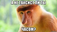 а не таксист ли ты часом?