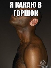 я какаю в горшок 