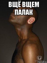 вщё вщем палак 