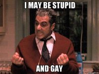 i may be stupid and gay