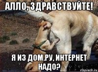 алло, здравствуйте! я из дом.ру, интернет надо?
