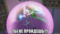  ты не пройдешь!!!