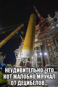  неудивительно, что кот жалобно мяукал от децибелов...