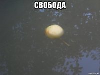 свобода 