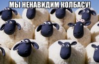 мы ненавидим колбасу! 