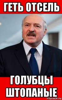 геть отсель голубцы штопаные