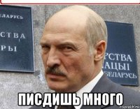  писдишь много
