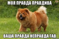 моя правда правдива ваша правда неправда гав