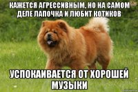 кажется агрессивным, но на самом деле лапочка и любит котиков успокаивается от хорошей музыки