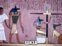  шиза