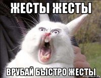 жесты жесты врубай быстро жесты