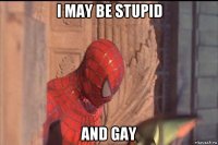 i may be stupid and gay