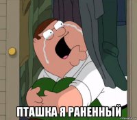  пташка я раненный