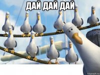 дай дай дай 