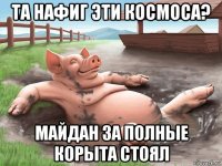 та нафиг эти космоса? майдан за полные корыта стоял