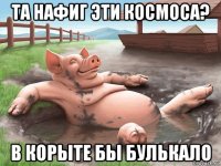 та нафиг эти космоса? в корыте бы булькало