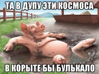 та в дупу эти космоса в корыте бы булькало