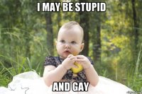 i may be stupid and gay