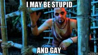 i may be stupid and gay