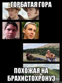 горбатая гора похожая на брахистохронуэ