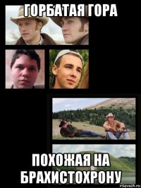 горбатая гора похожая на брахистохрону