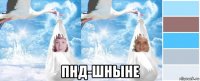  пнд-шныне
