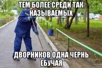 тем более среди так называемых дворников одна чернь ебучая