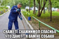  скажете скажиимол спасибо что дают..- я вам не собака