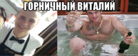 горничный виталий 
