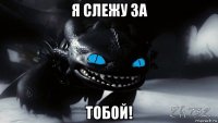 я слежу за тобой!